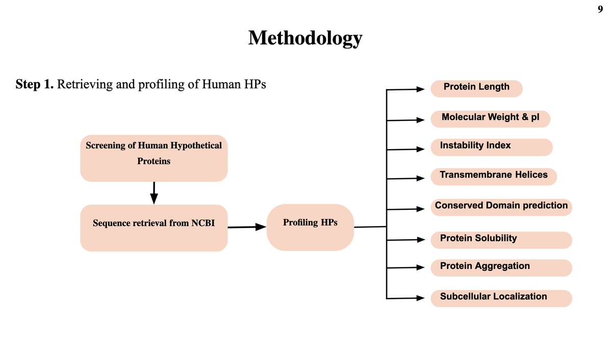 HP Protein Prediction