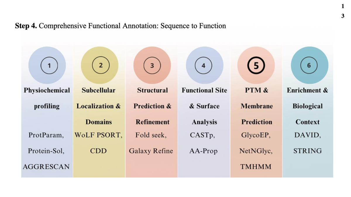 HP Protein Prediction