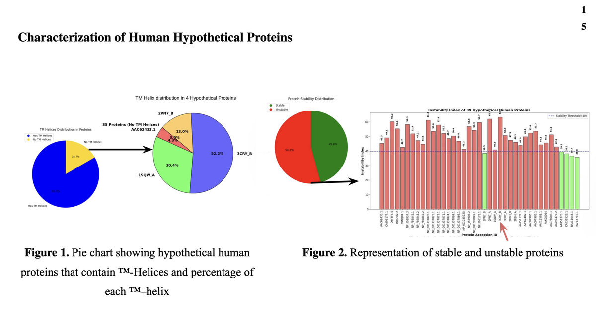 HP Protein Prediction