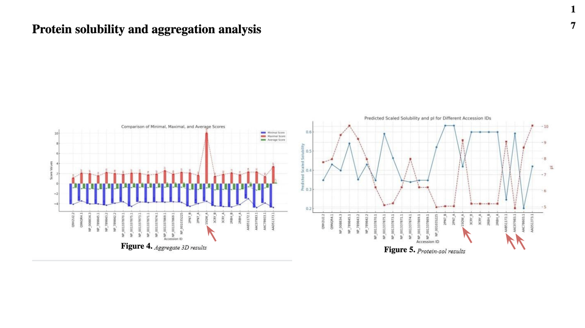 HP Protein Prediction
