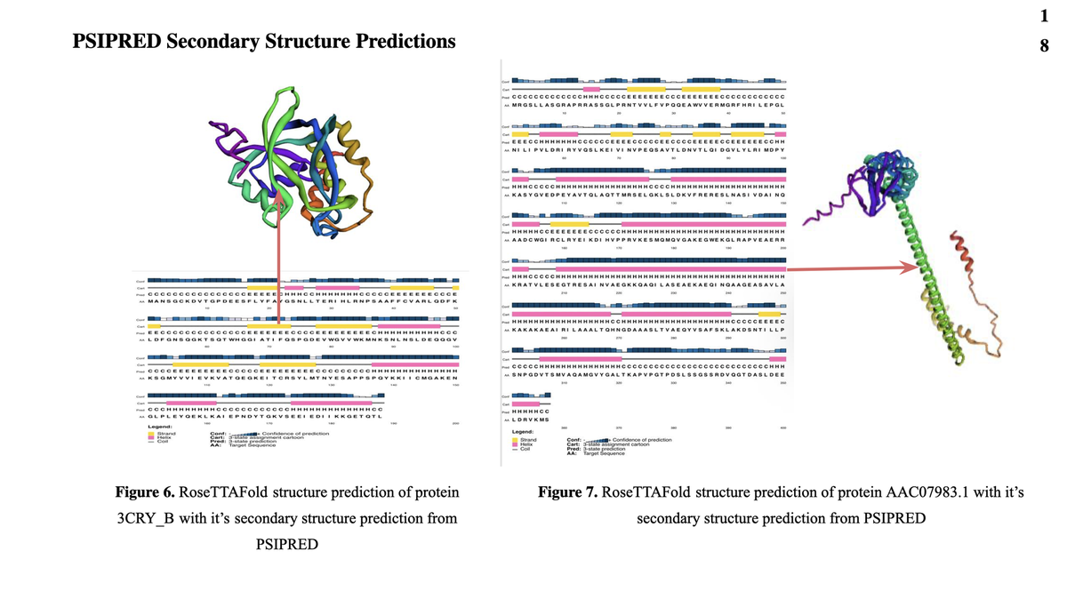 HP Protein Prediction