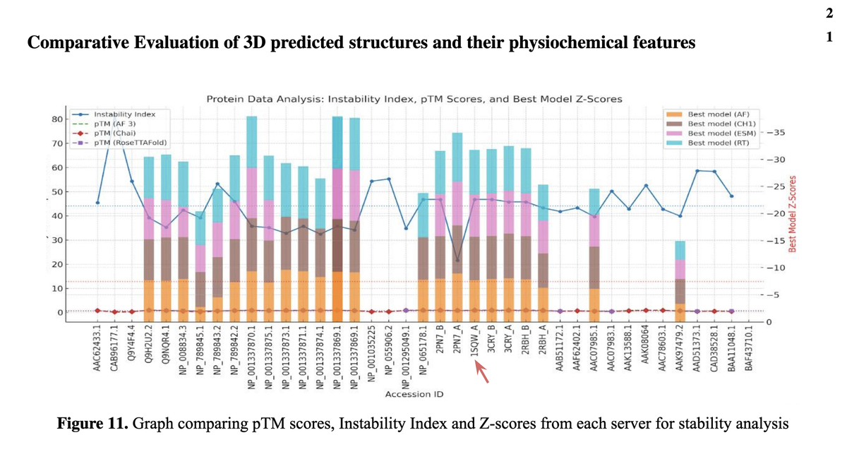 HP Protein Prediction