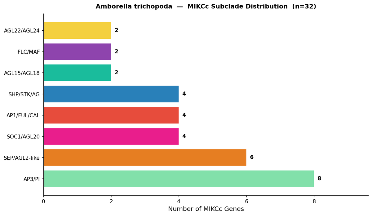 MADS-Box Gene Detection