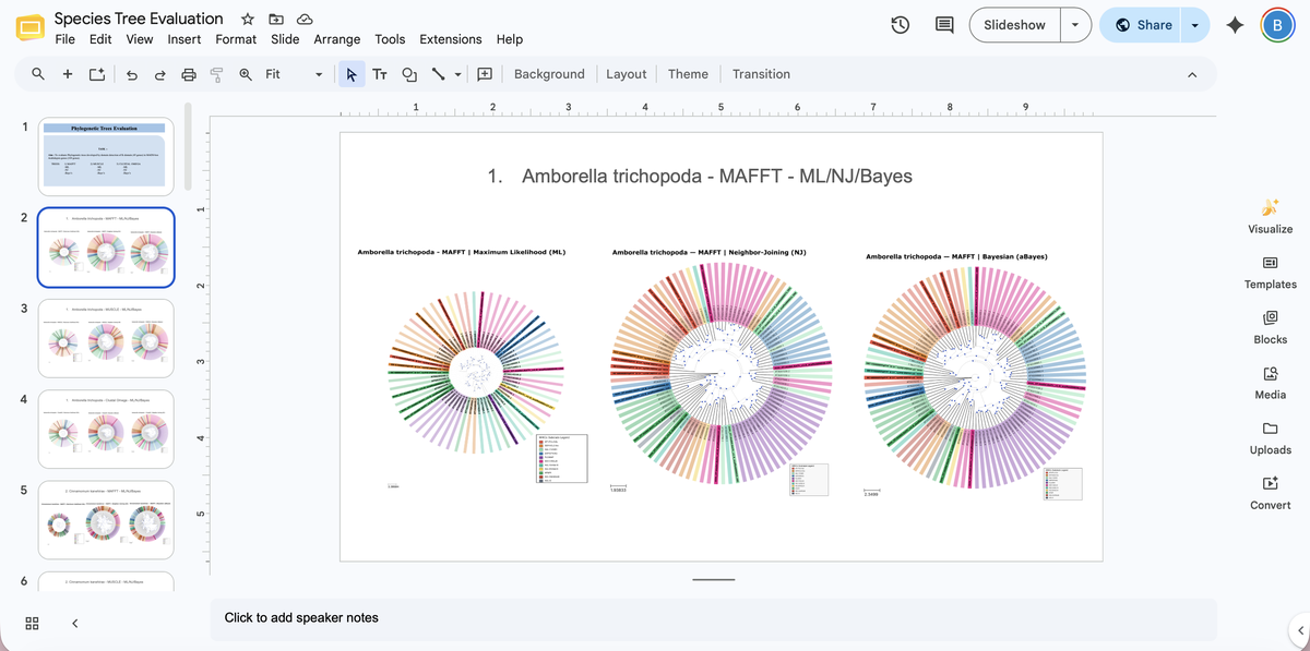 MADS-Box Gene Detection